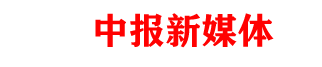 中报新媒体